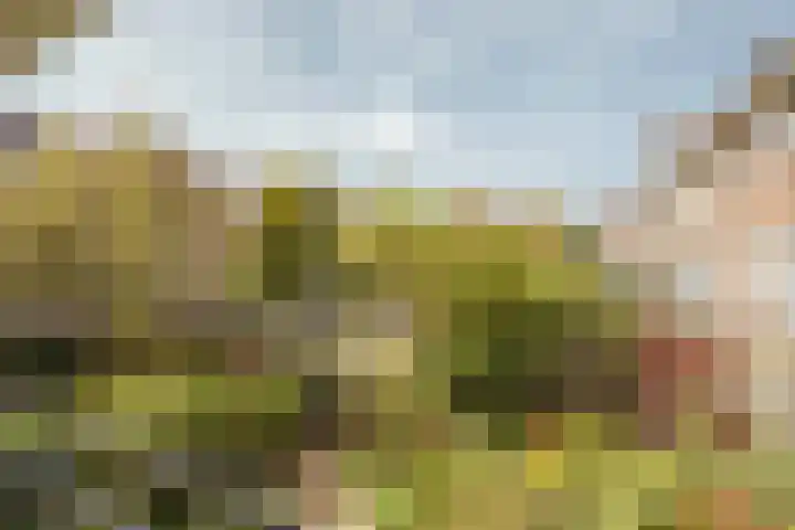 Kruislaan 253 Amsterdam thumbnail 14