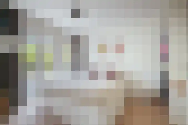 Kruislaan 253 Amsterdam thumbnail 15