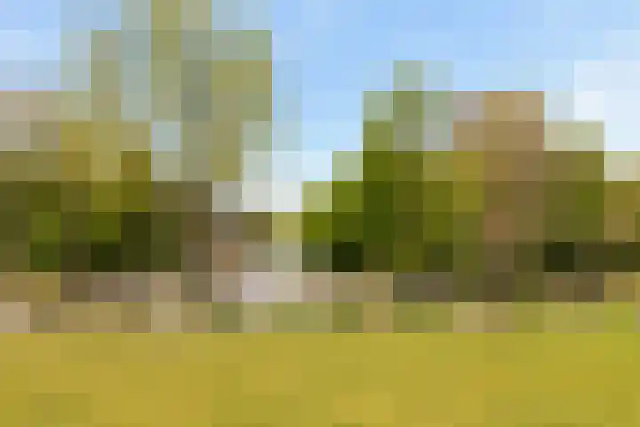 Kruislaan 253 Amsterdam thumbnail 36