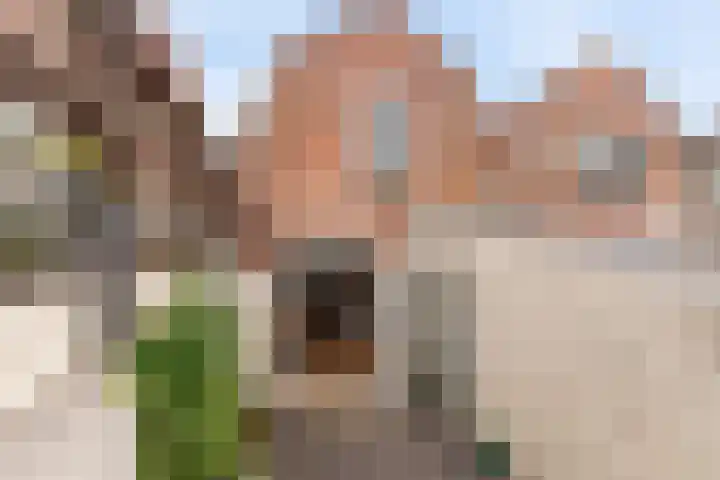 Kruislaan 28 Enkhuizen thumbnail 21
