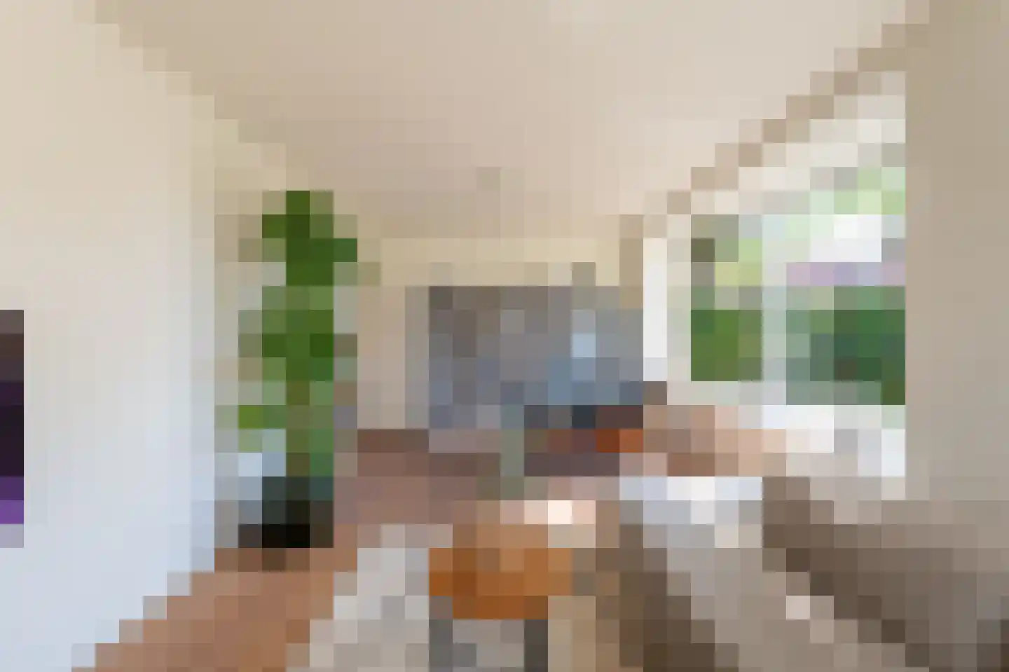 Kruislaan 29 Bussum thumbnail 8