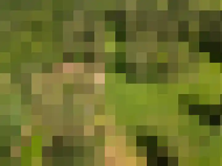 Kruislaan 3 Ede thumbnail 12
