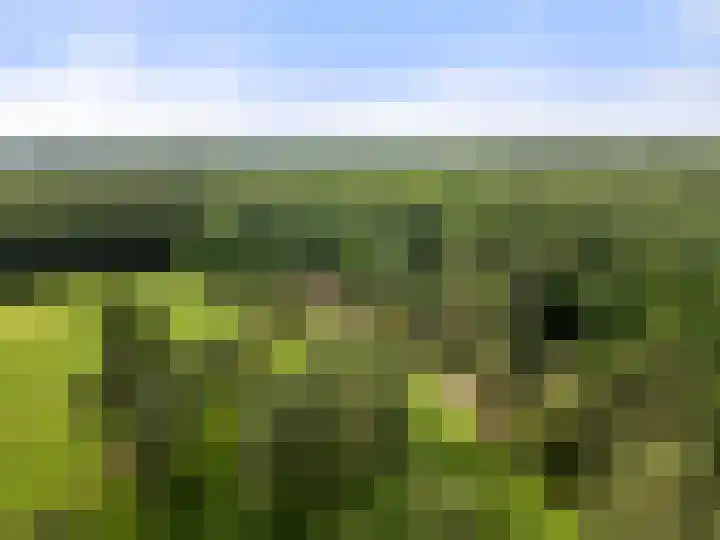 Kruislaan 3 Ede thumbnail 13
