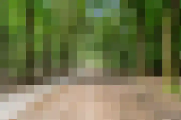 Kruislaan 3 Ede thumbnail 17