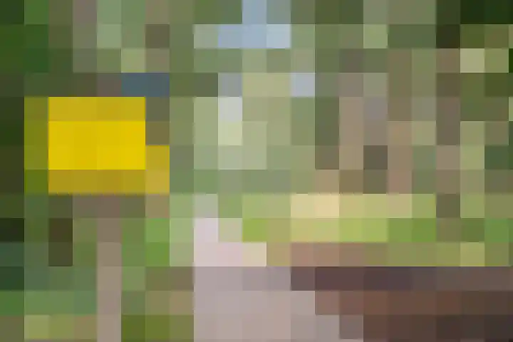 Kruislaan 3 Ede thumbnail 18