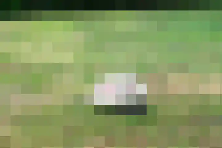 Kruislaan 3 Ede thumbnail 19