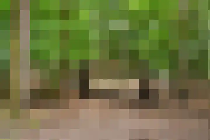 Kruislaan 3 Ede thumbnail 20