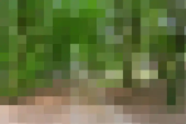 Kruislaan 3 Ede thumbnail 21