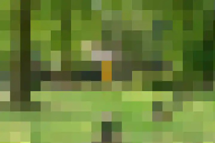 Kruislaan 3 Ede thumbnail 24