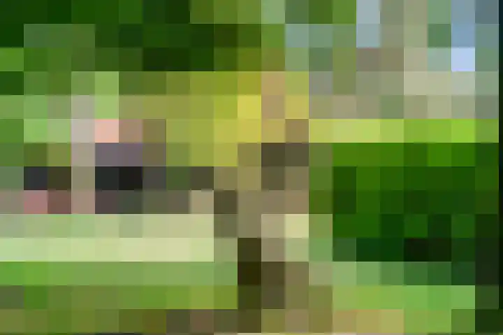 Kruislaan 3 Ede thumbnail 25