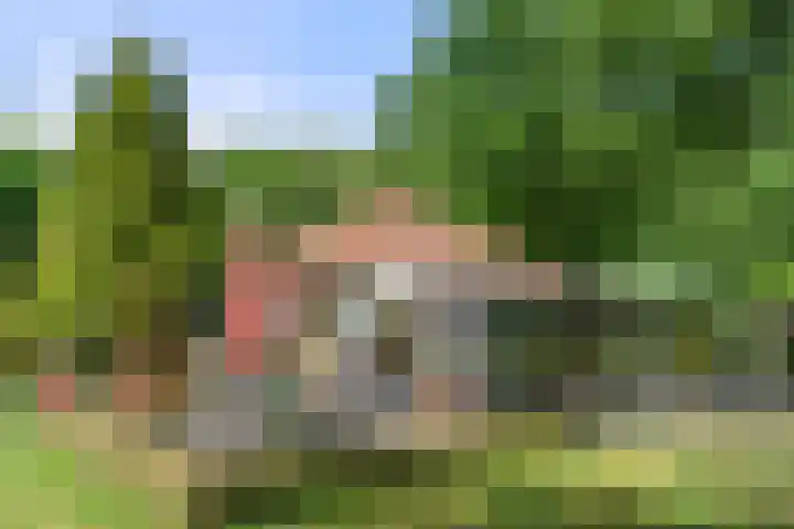 Kruislaan 3 Ede thumbnail 28