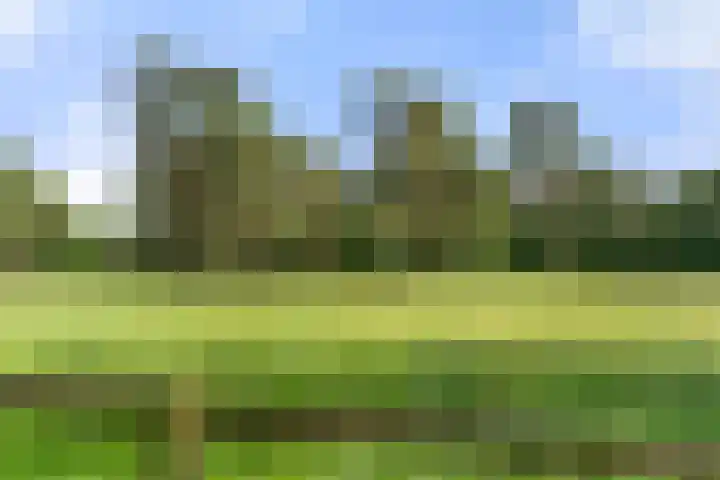 Kruislaan 3 Ede foto 3
