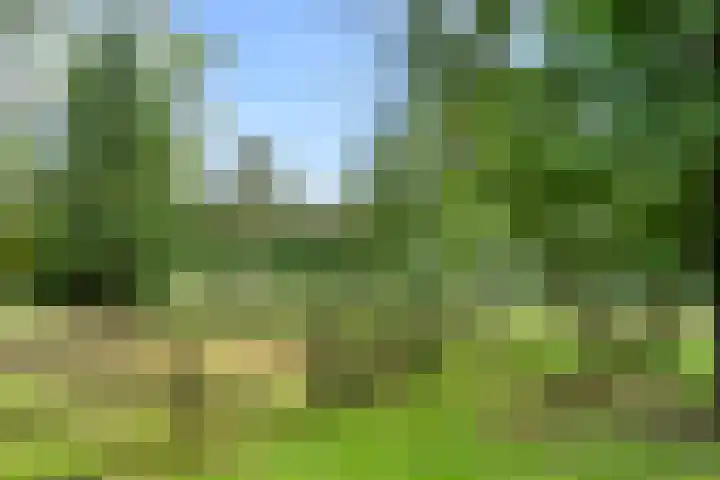 Kruislaan 3 Ede thumbnail 31
