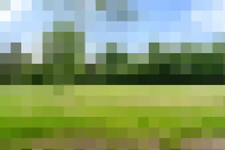 Kruislaan 3 Ede thumbnail 32