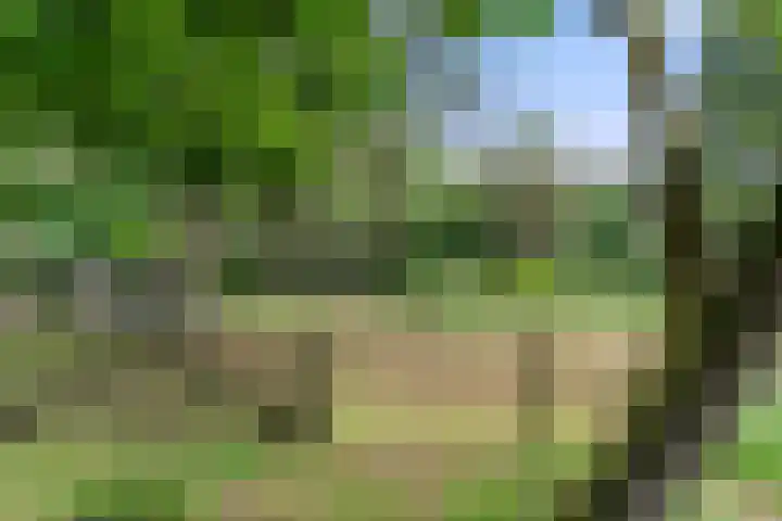 Kruislaan 3 Ede thumbnail 34