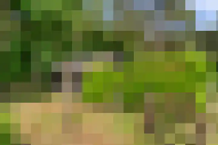 Kruislaan 3 Ede thumbnail 38