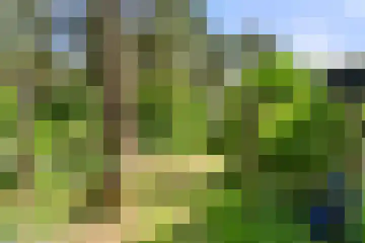 Kruislaan 3 Ede thumbnail 39