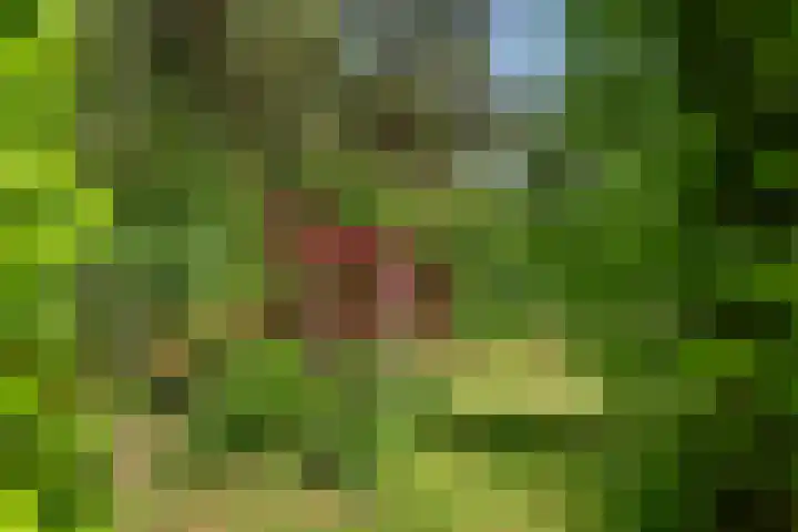 Kruislaan 3 Ede thumbnail 40