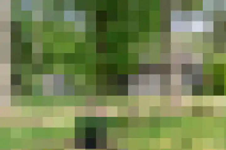 Kruislaan 3 Ede thumbnail 41