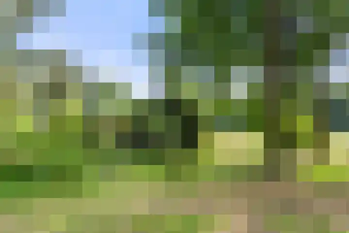 Kruislaan 3 Ede thumbnail 42