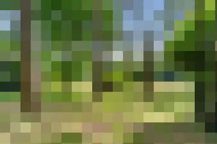 Kruislaan 3 Ede thumbnail 43