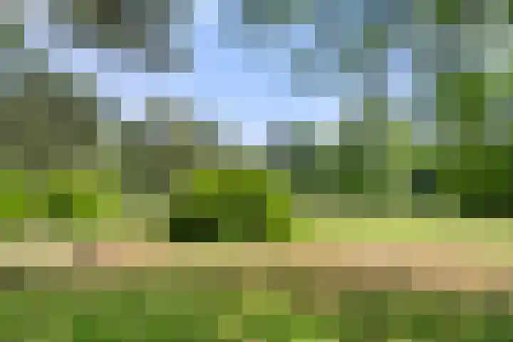Kruislaan 3 Ede thumbnail 44