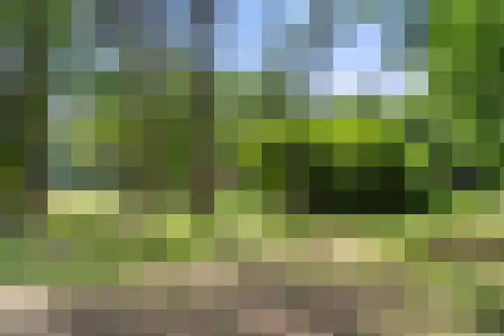 Kruislaan 3 Ede thumbnail 45