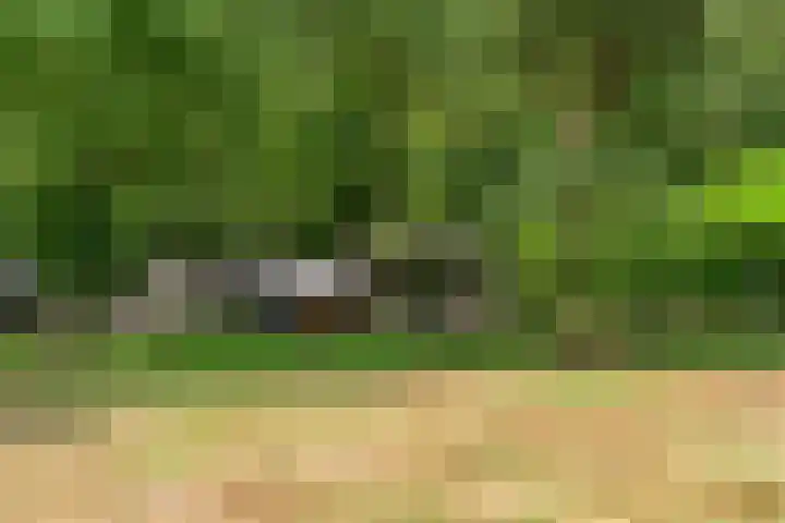 Kruislaan 3 Ede thumbnail 47