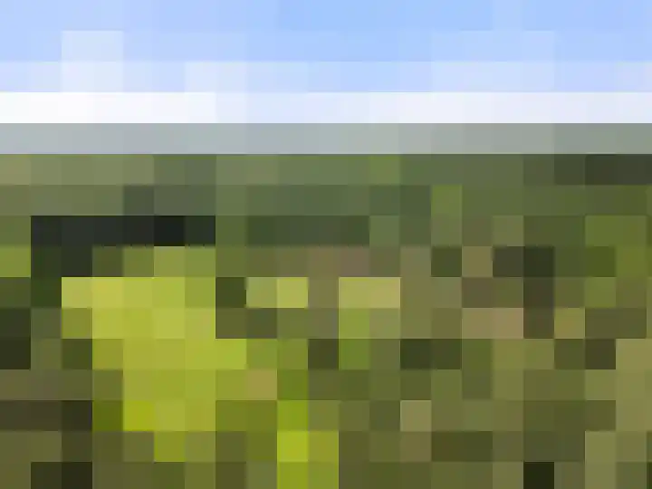 Kruislaan 3 Ede thumbnail 5
