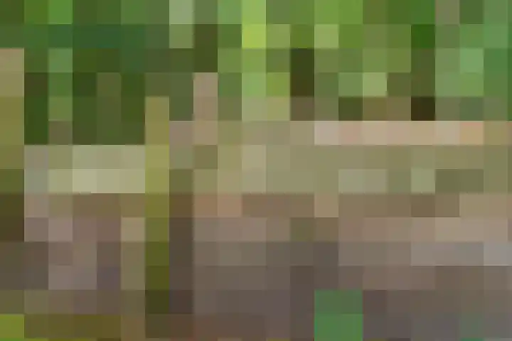 Kruislaan 3 Ede thumbnail 51