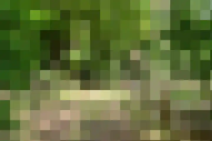 Kruislaan 3 Ede thumbnail 52
