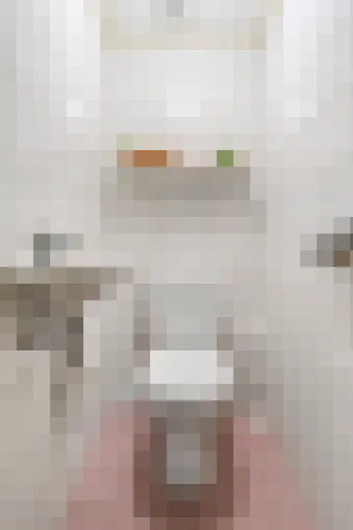 Kruislaan 3 Ede thumbnail 55