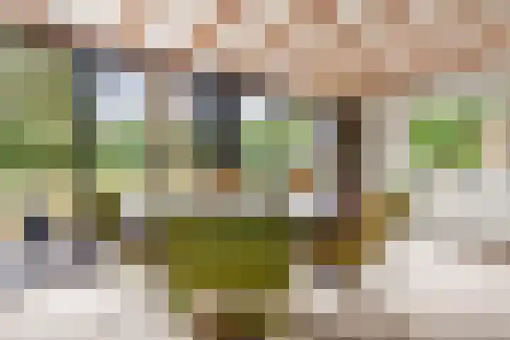 Kruislaan 3 Ede thumbnail 61