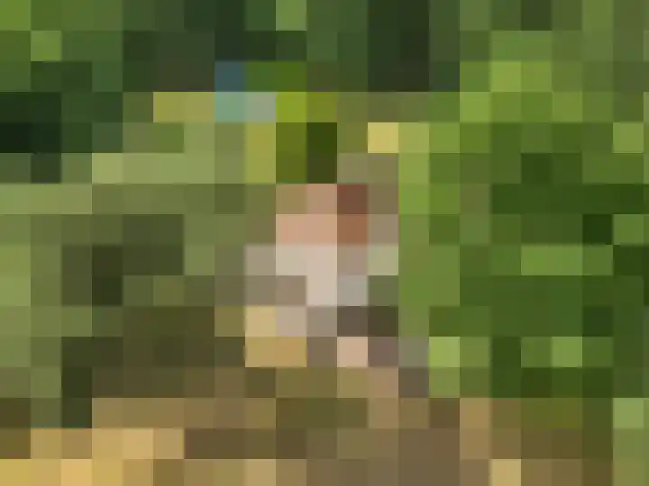 Kruislaan 3 Ede thumbnail 7