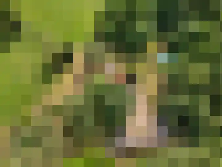 Kruislaan 3 Ede thumbnail 8