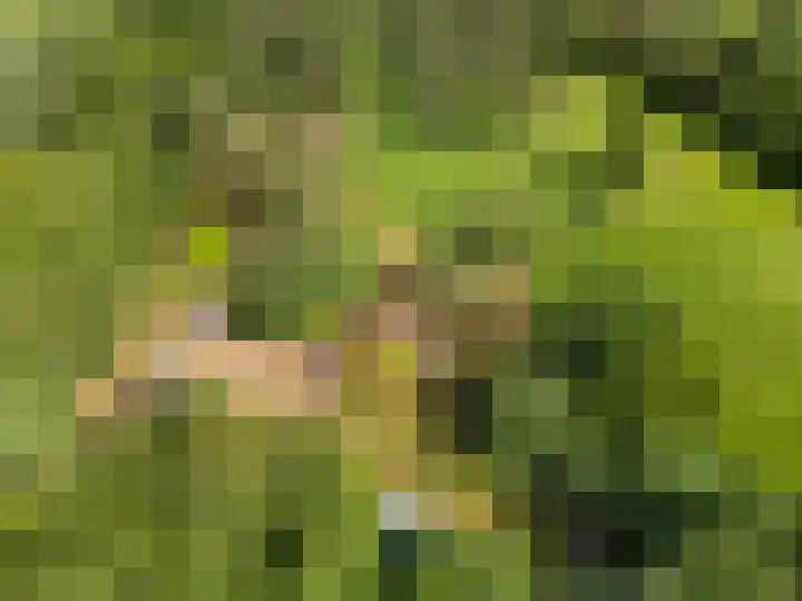 Kruislaan 3 Ede thumbnail 9