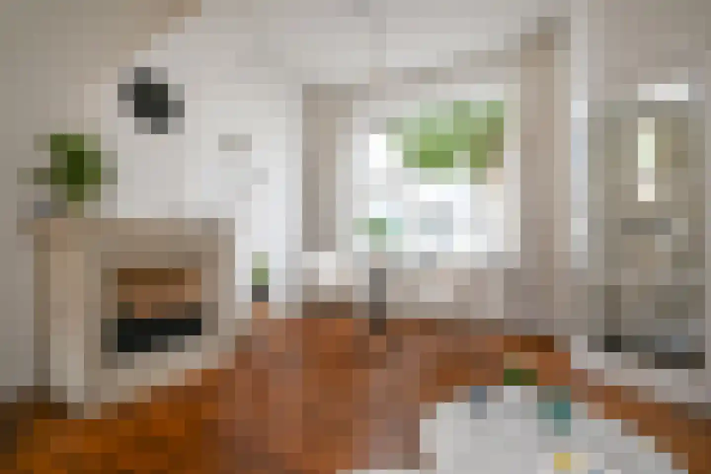Kruislaan 6 Bussum thumbnail 4