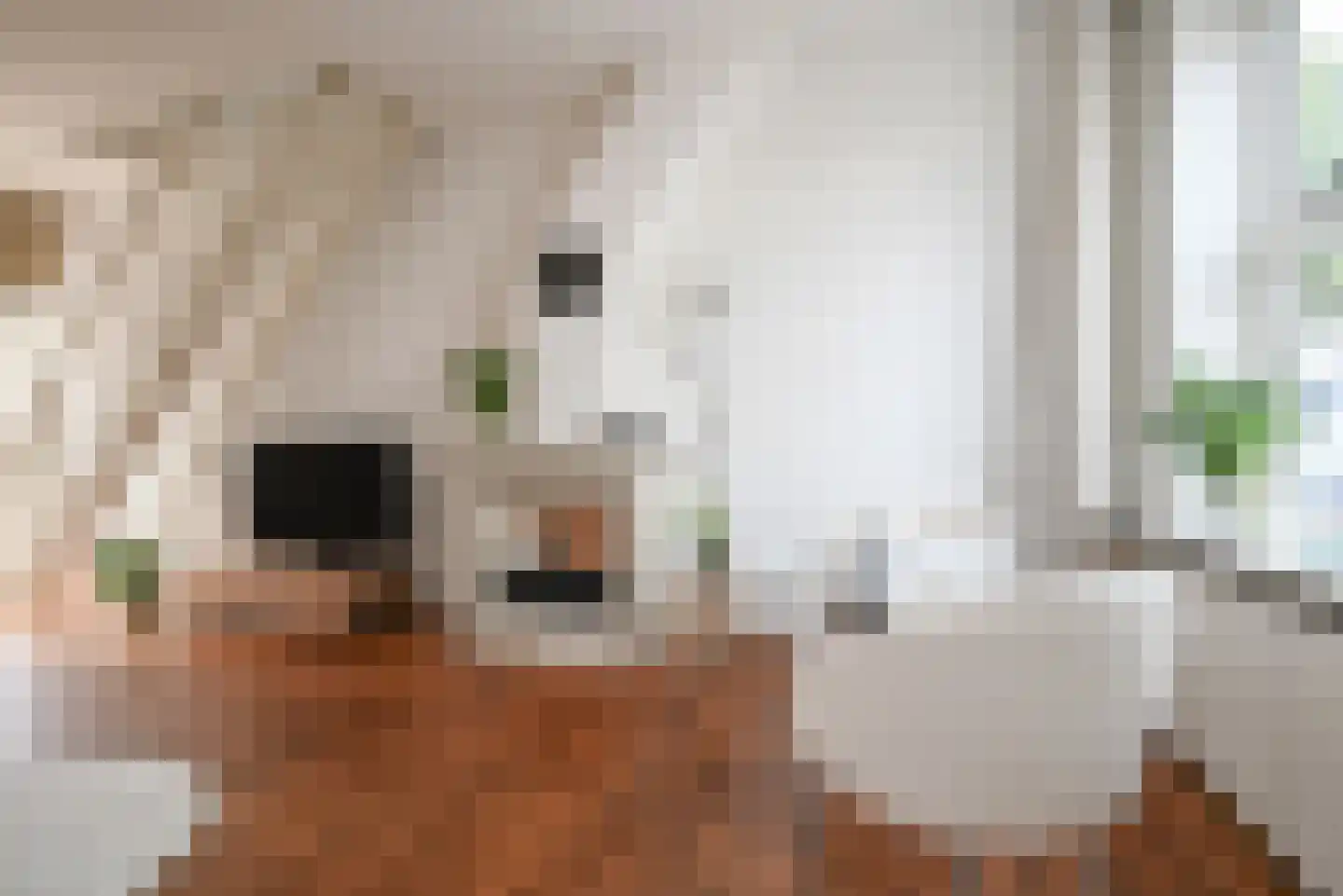 Kruislaan 6 Bussum thumbnail 5