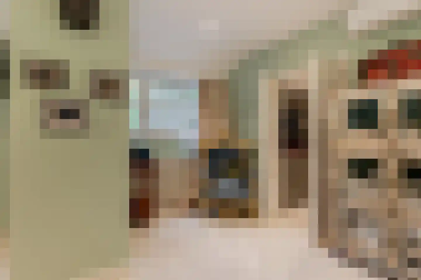Kruislaan 6 Oostvoorne thumbnail 36
