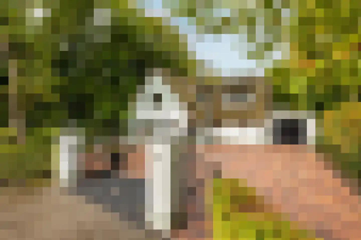 Kruislaan 6 Oostvoorne thumbnail 4
