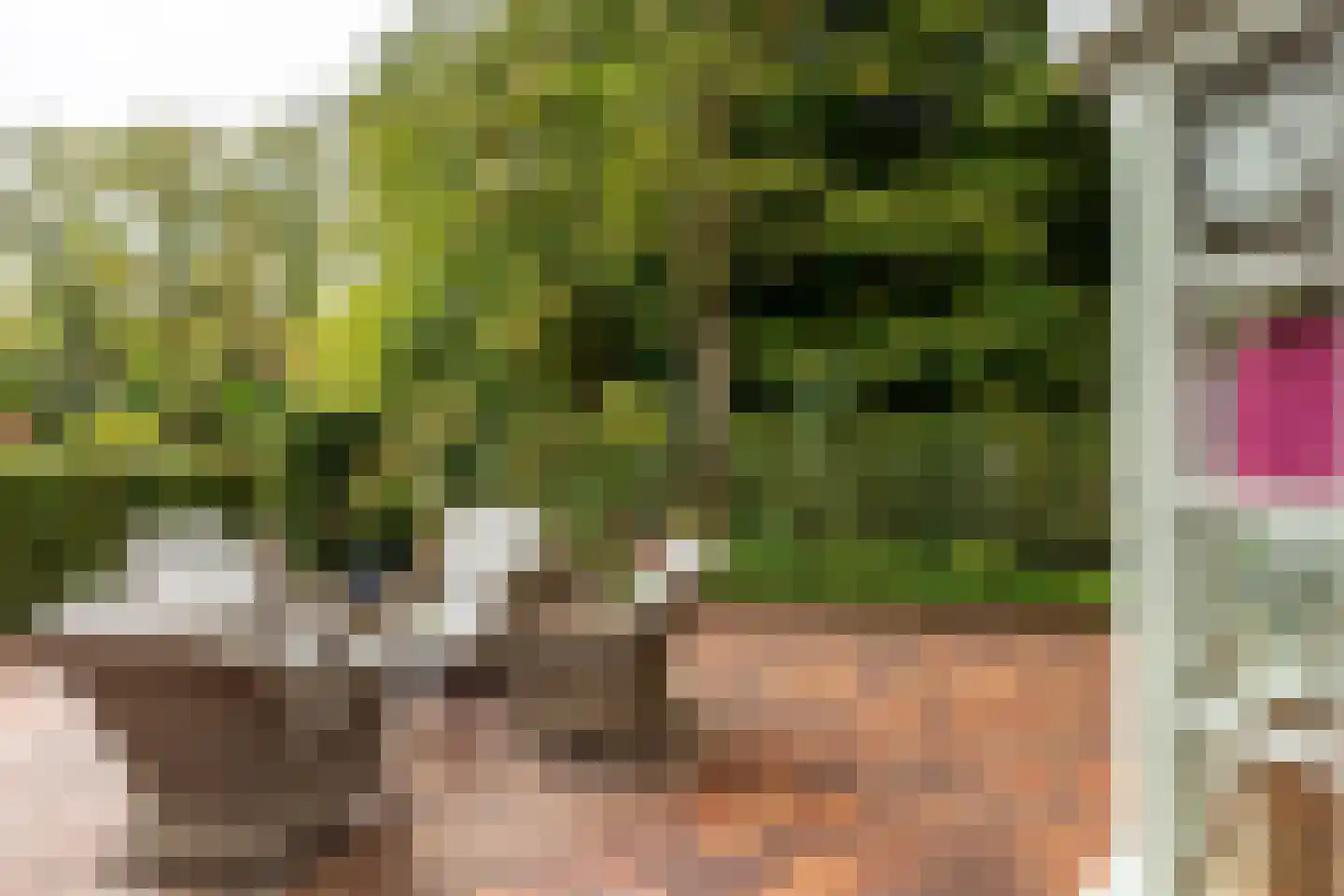 Kruislaan 6 Oostvoorne thumbnail 72