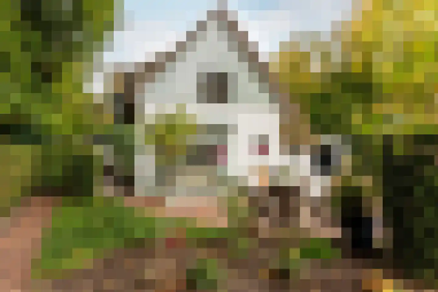 Kruislaan 6 Oostvoorne thumbnail 73