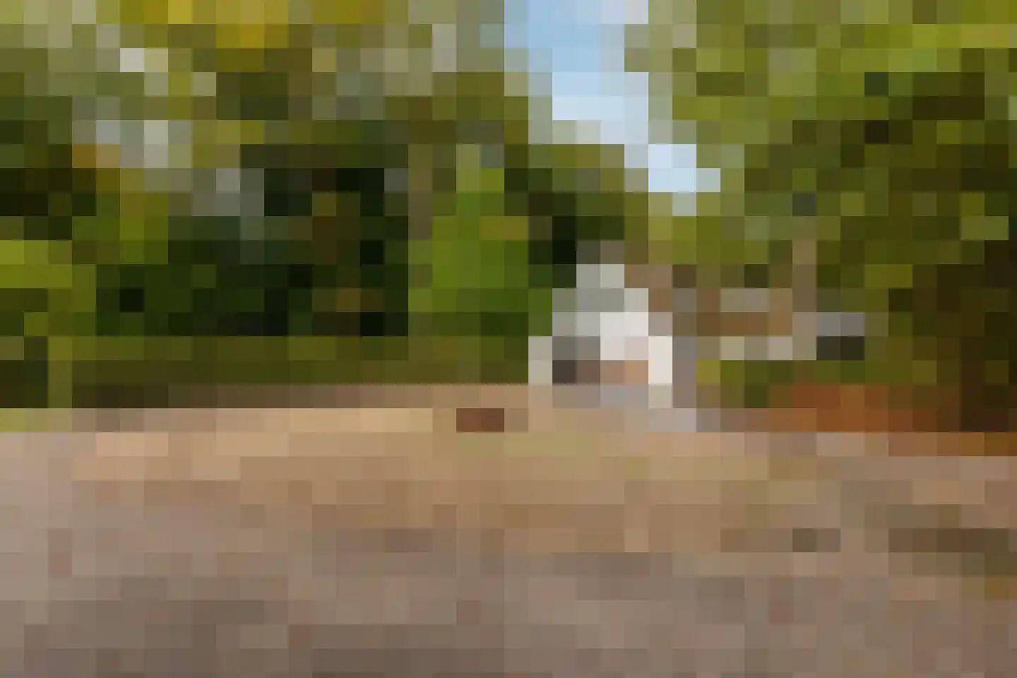 Kruislaan 6 Oostvoorne thumbnail 75