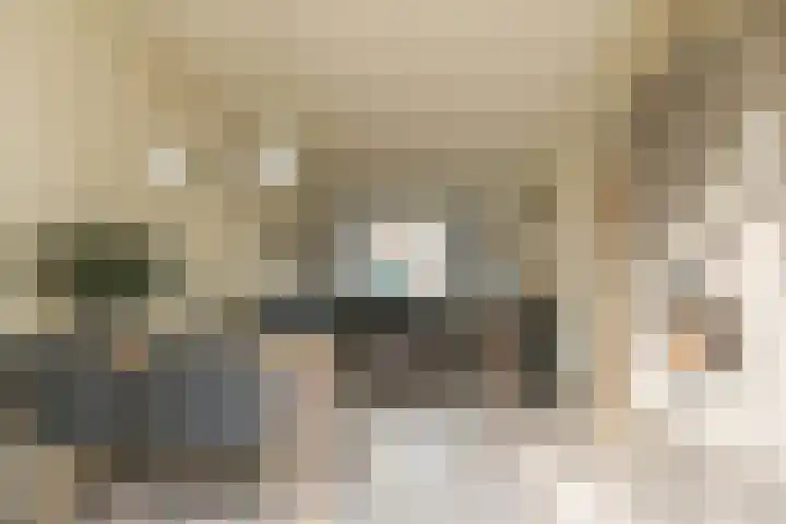 Kruislaan 69 Enkhuizen thumbnail 15