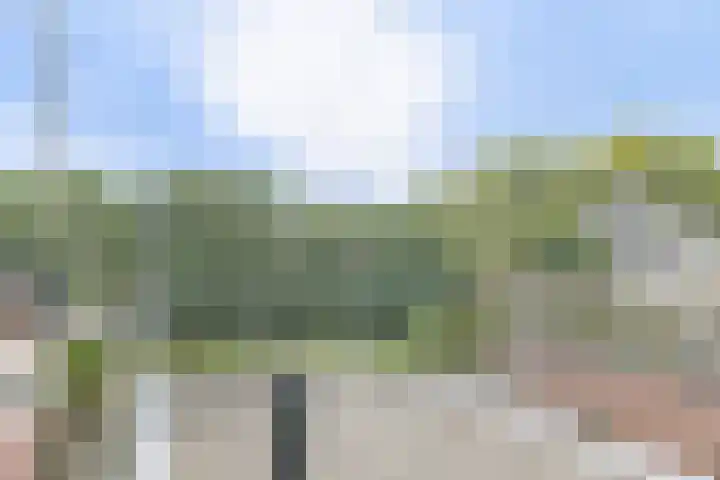 Kruislaan 69 Enkhuizen thumbnail 30