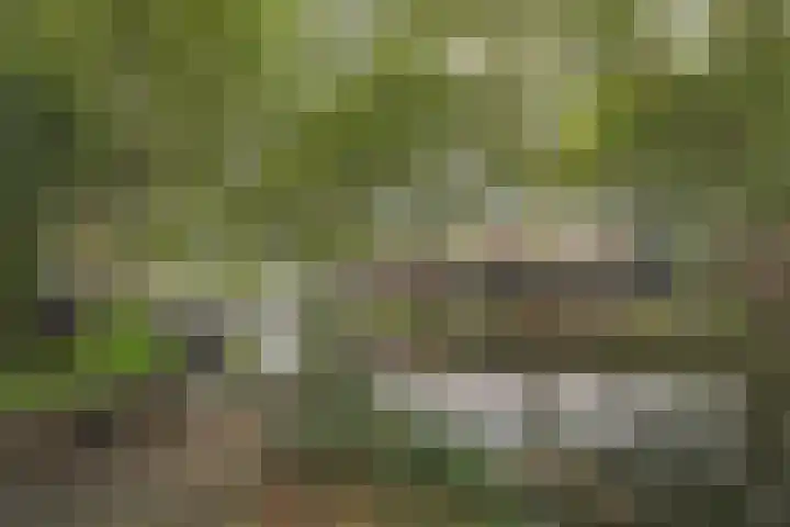 Kruislaan 69 Enkhuizen thumbnail 6