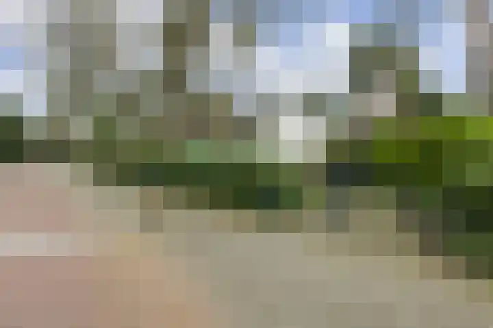 Kruislaan 9 Bilthoven thumbnail 37