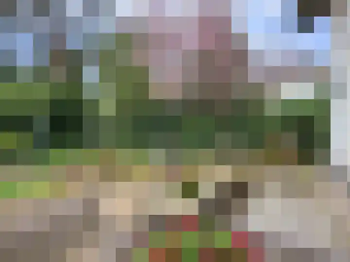 Kruislaan 9 Bilthoven thumbnail 41