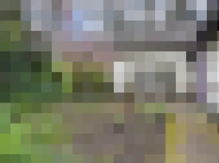 Kruislaan 9 Bilthoven thumbnail 43