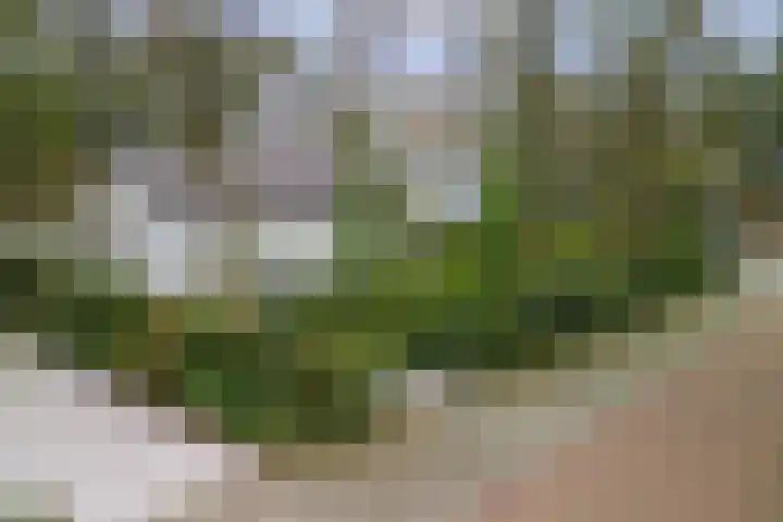 Kruislaan 9 Bilthoven thumbnail 5